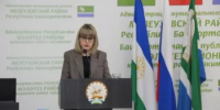 В Мелеузовском районе депутаты утвердили схемы избирательных округов - Мелеузовский район